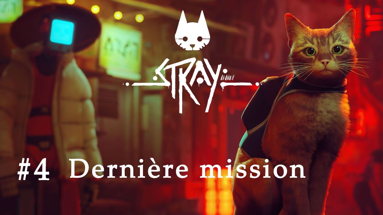 Stray #04 - Que la lumière soit !