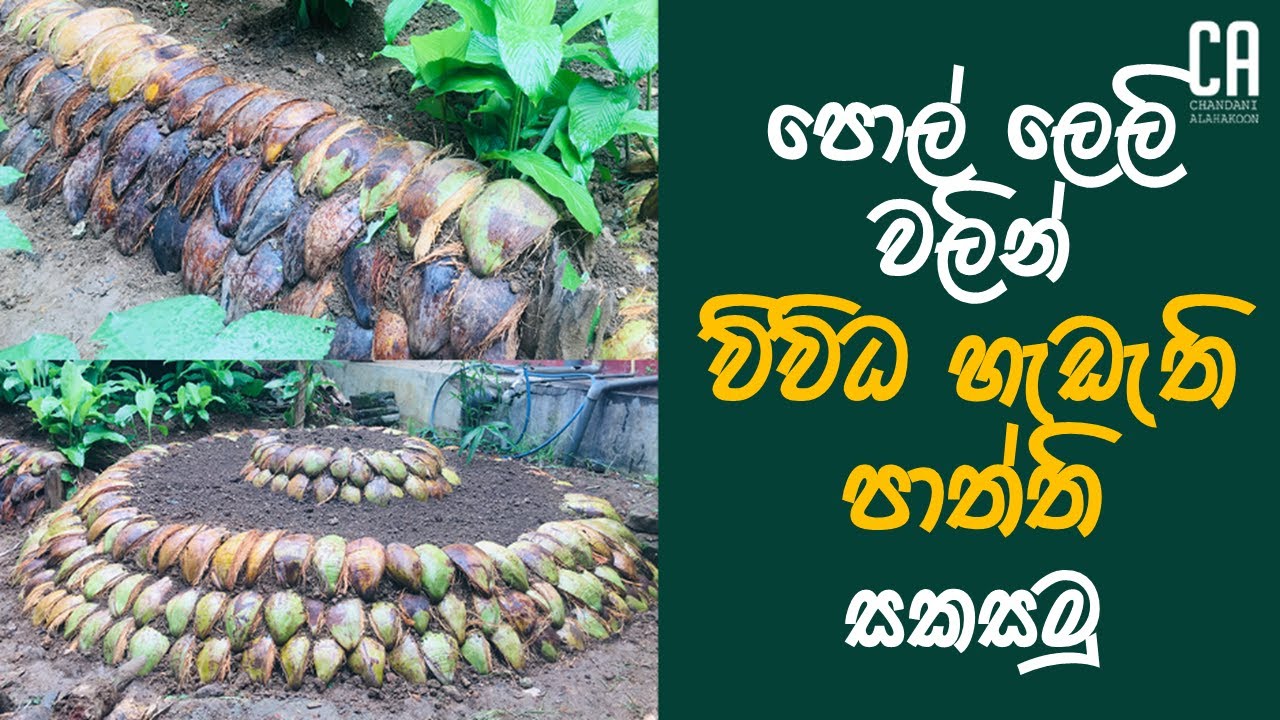 පොල්ලෙලි වලින් විවිධ හැඩැති පාත්ති සකසමු | How to make Polley Paththi