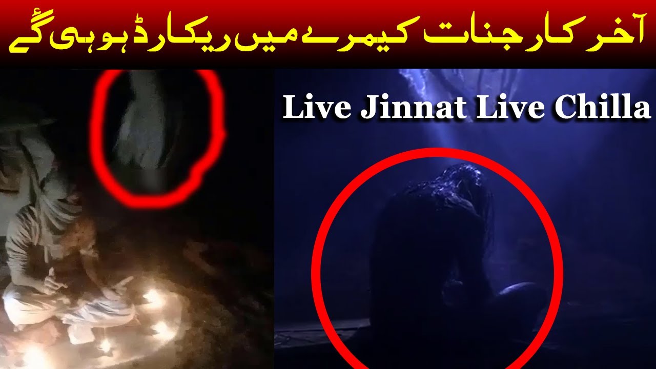 jinnat Ki Live Hazri on Youtube 2024