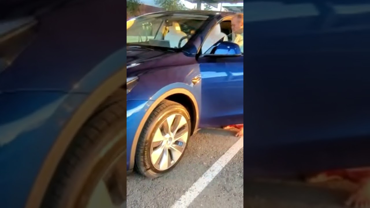 New Tesla car Pooja￼ #reels #youtubeshorts #reelsindia #viralshorts #youtuber #short #india ￼