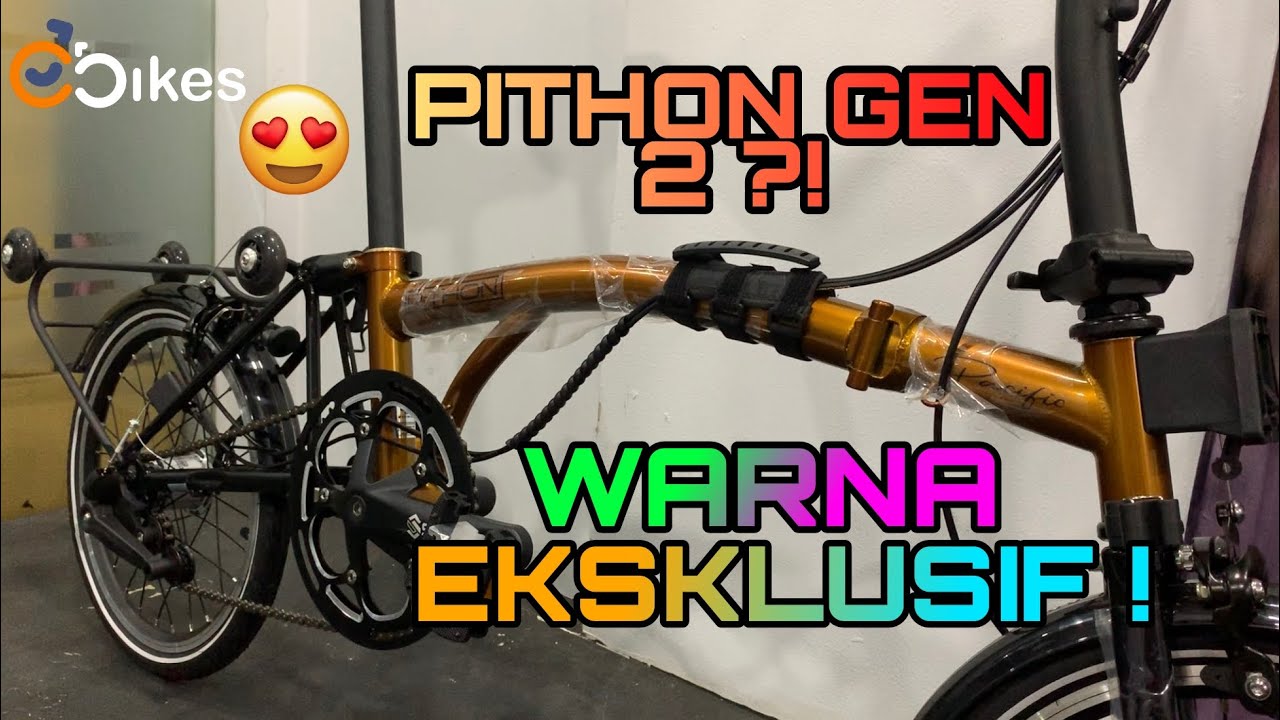 TRIFOLD MEWAH ! PACIFIC PITHON GEN 2 M320VR 2021 !
