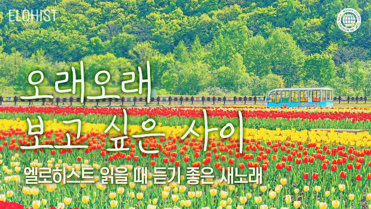 엘로히스트 읽을 때 듣기 좋은 새노래 #5│2025