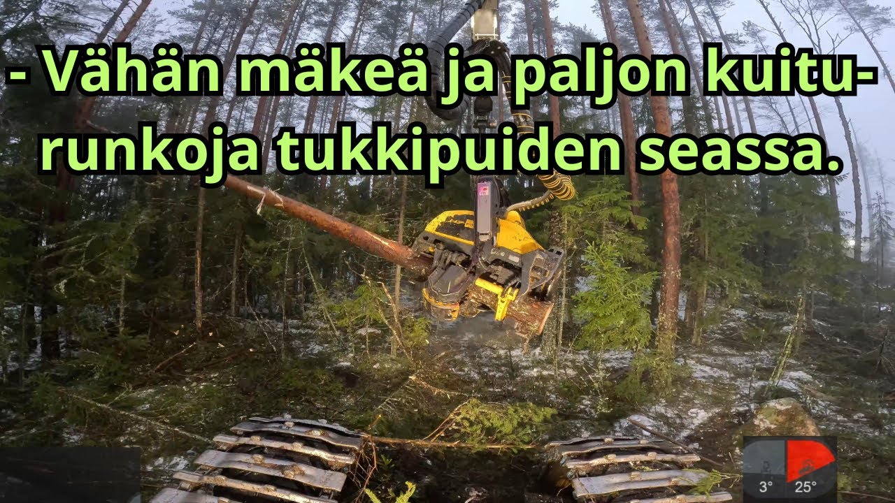 Sumuinen aamu uudistushakkuulla vähän mäkeä ja koskematonta metsää. VR100 Ponsse Scorpion K H7 AC FC