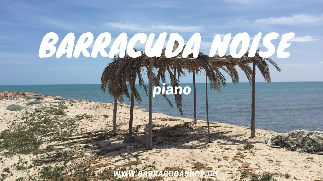 Barracuda noise - Piano (official video)