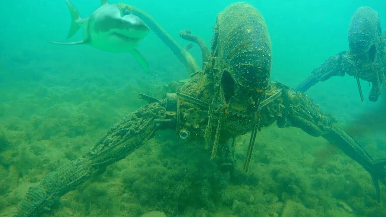 Jag tappade min kamera i havet...