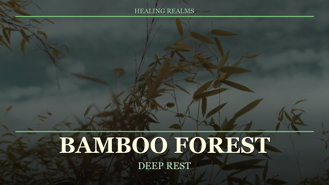 Bamboo Forest & Gentle Wind | Sleep Music | 3 Hours Deep Rest