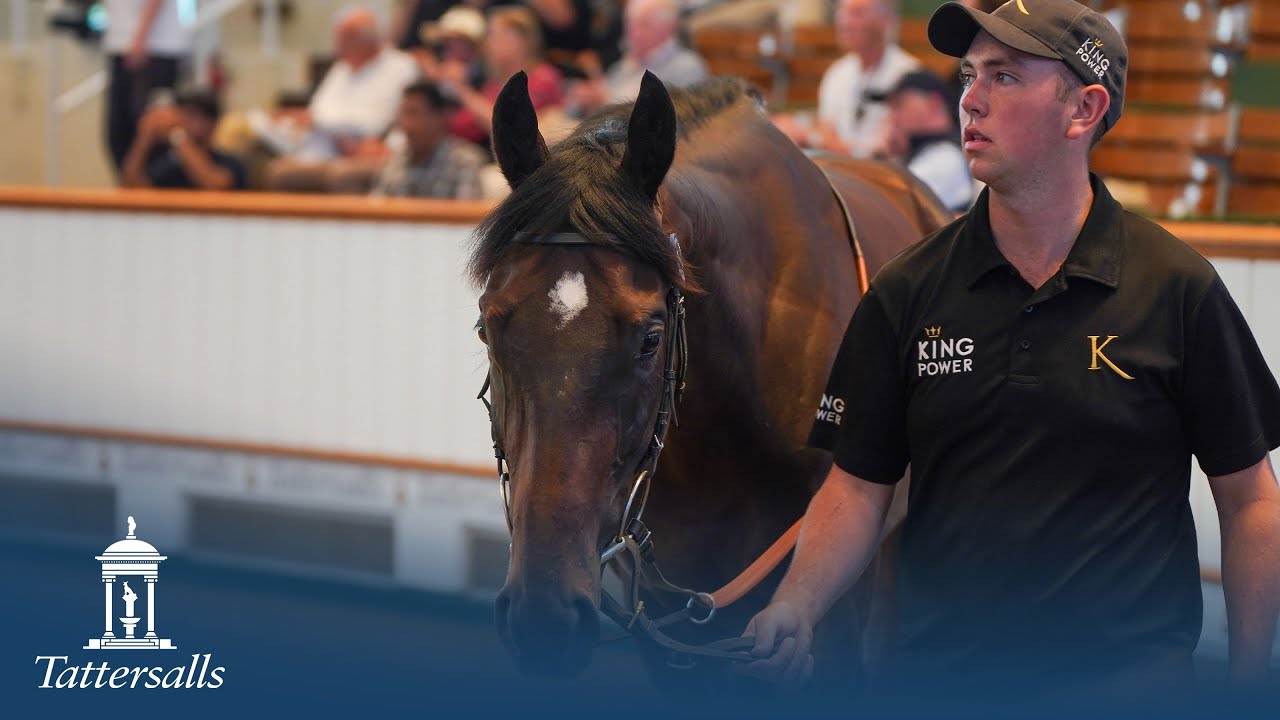 Tattersalls July Sale Day 3 2025 Review