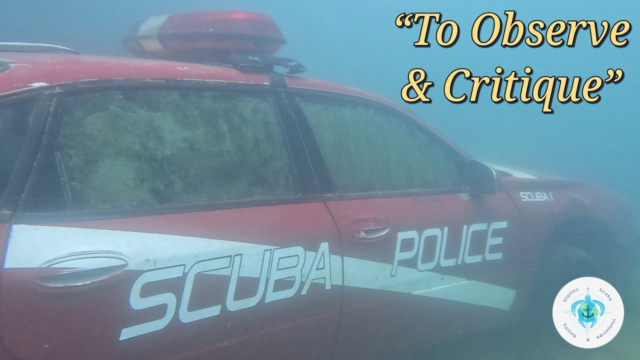 SCUBA POLICE 🚨🎶 | Official Music Video | New Single Drops Underwater