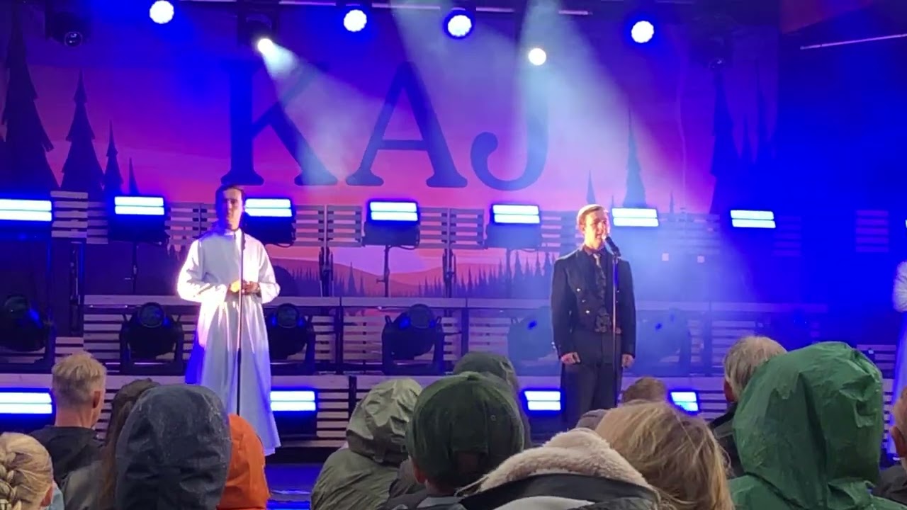 KAJ. Näsan domna. Parksnäckan, Uppsala, Sweden. 2025-Aug-24