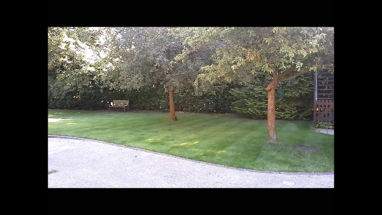 Eds Garden Maintenance lawn mowing service