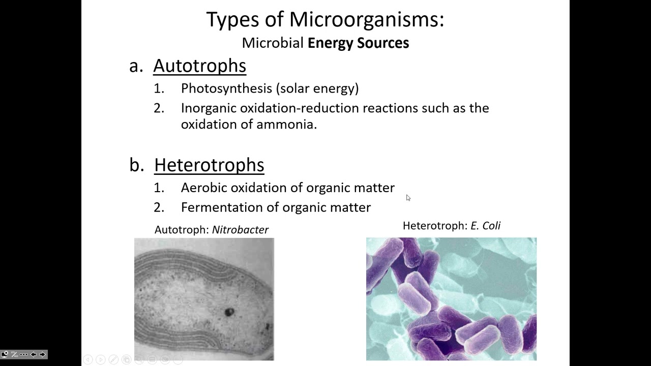 Wastewater Microbiology - CE 434, Class 30 (2 Nov 2022)