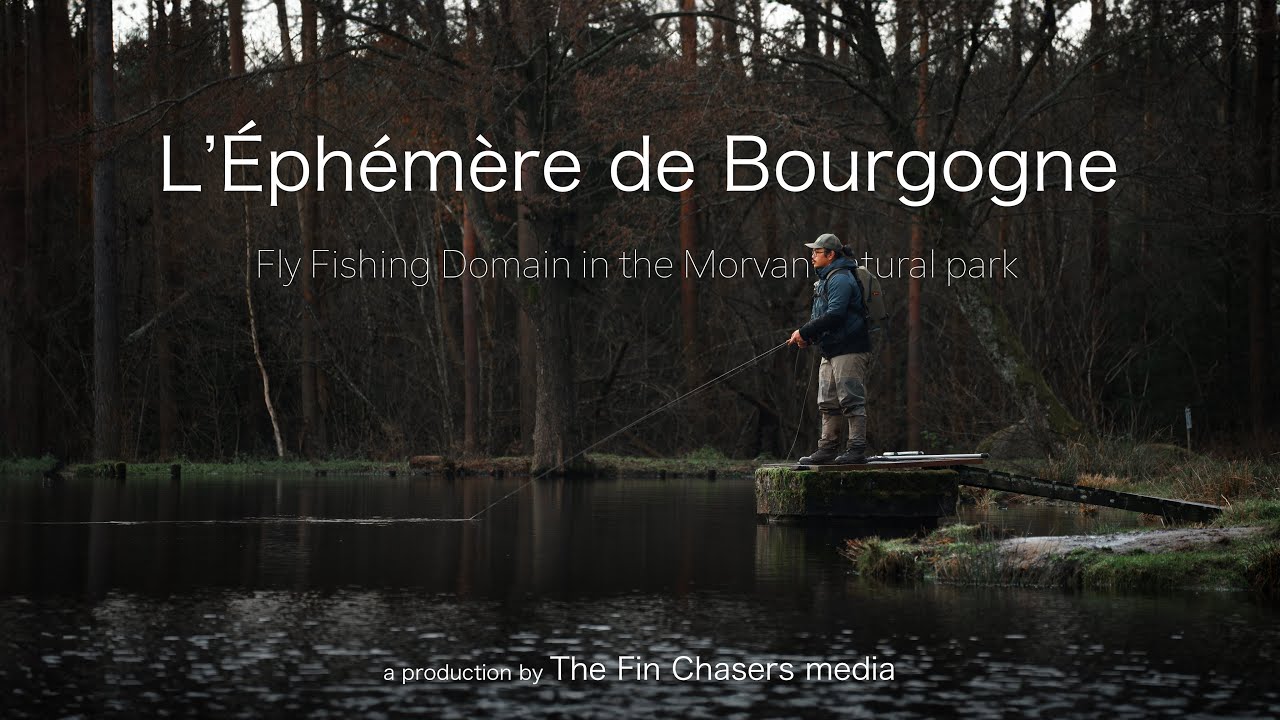 L'Éphémère de Bourgogne - Domaine de pêche à la mouche au coeur du parc régional naturel du Morvan