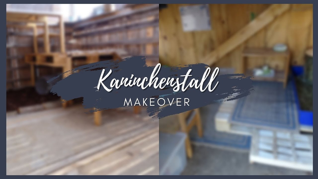 Kaninchenstall-Makeover 😍