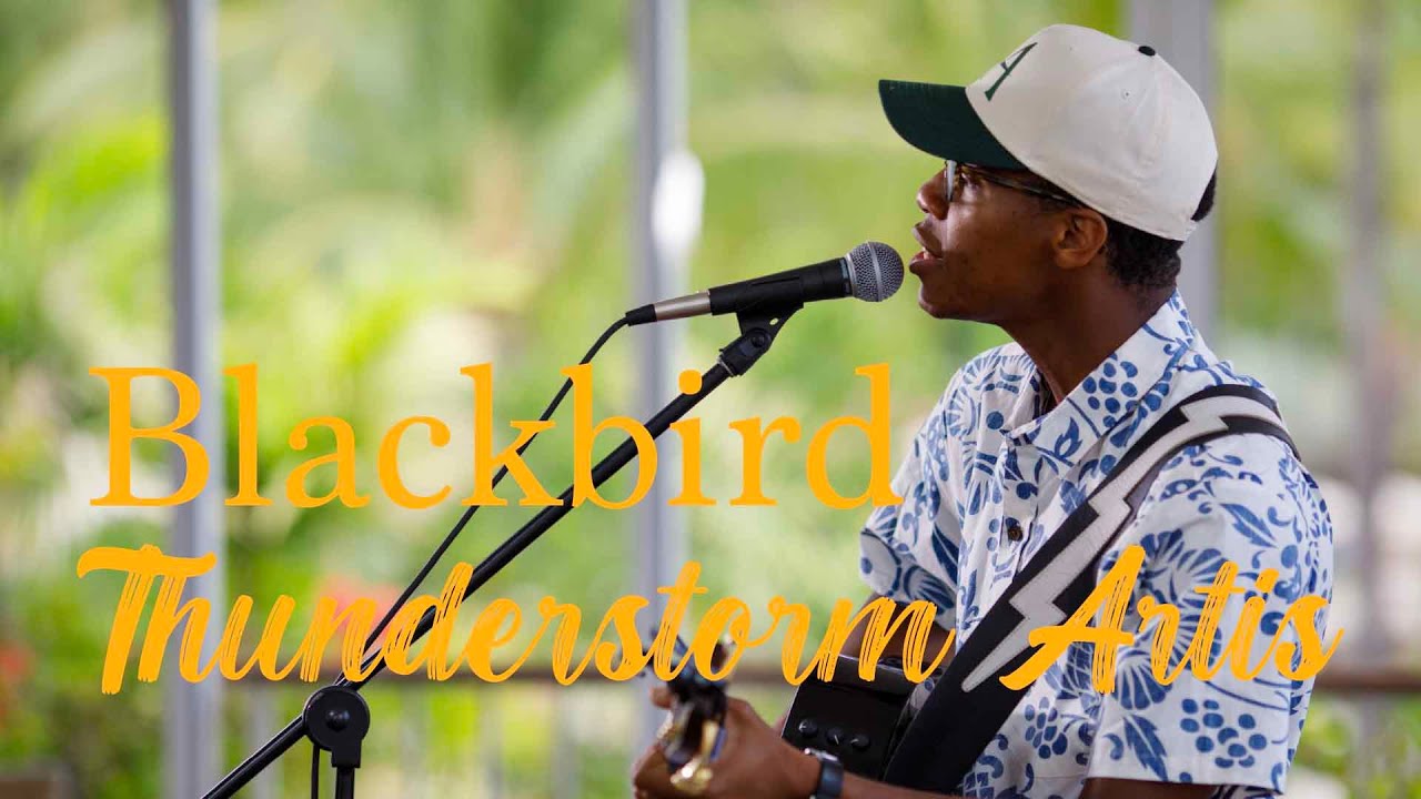 Громовой Артис вкладывает душу в «Blackbird» | Концерт на HiSessions