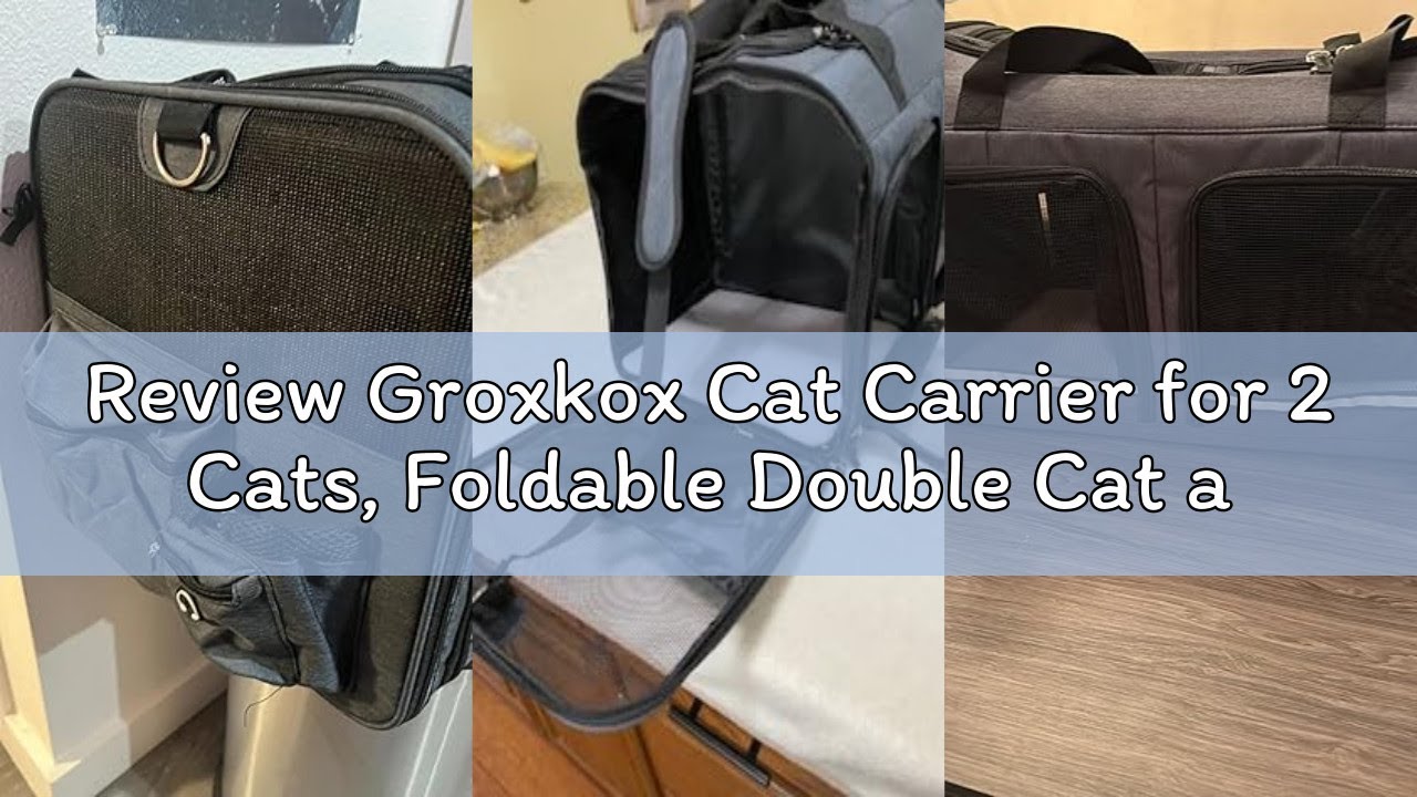 Review Groxkox Cat Carrier for 2 Cats, Foldable Double Cat and Dog Carrier, Small to Medium Size, 2