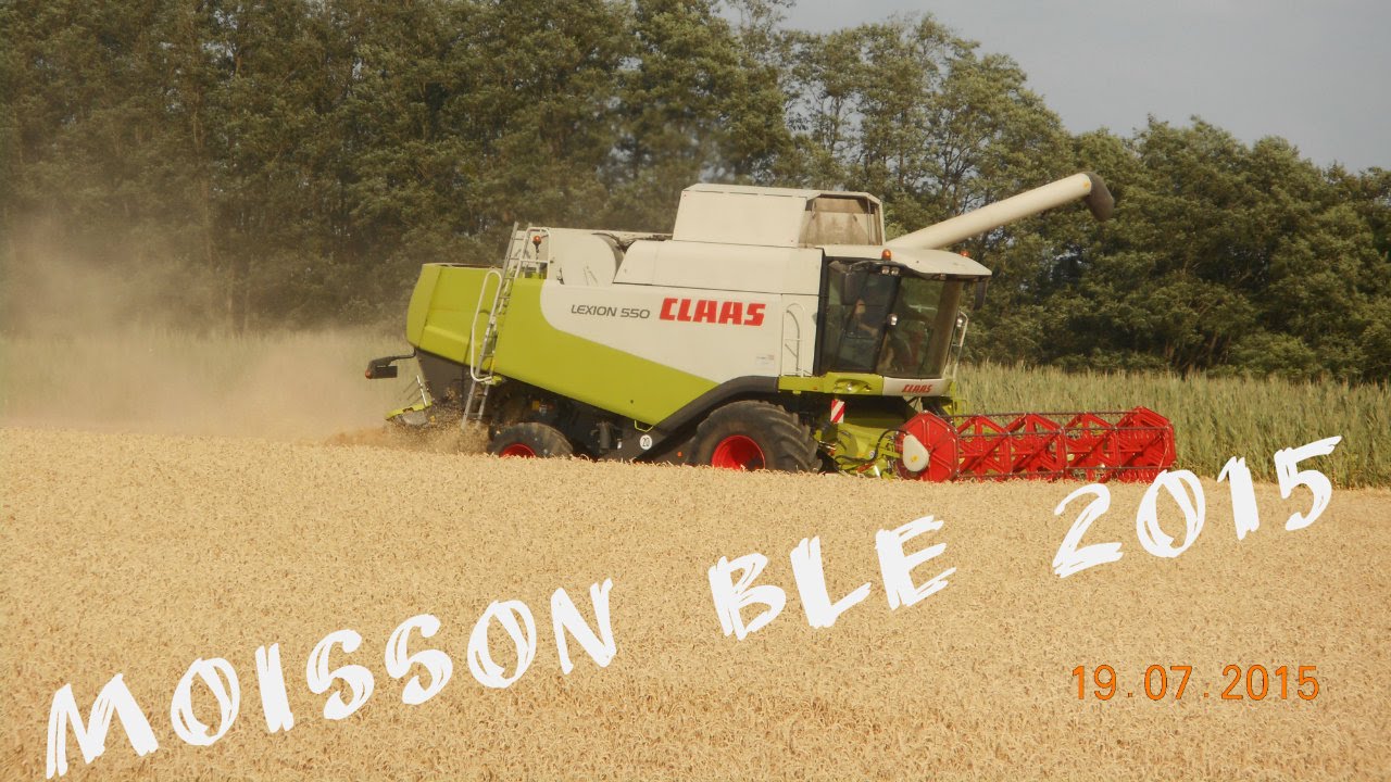 Moisson 2015/Harvest 2015 avec Claas lexion 550