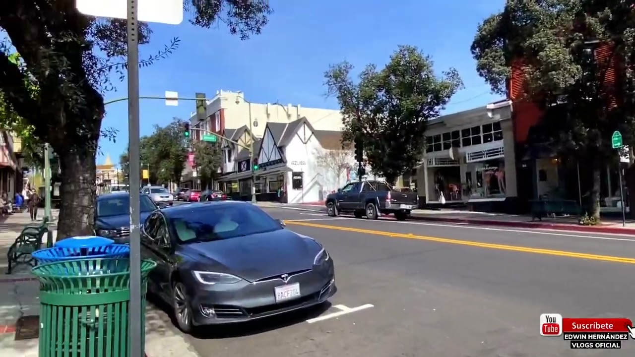 CONOZCAMOS UN POQUITO DE LOS GATOS CALIFORNIA 🇺🇸#california #losgatos