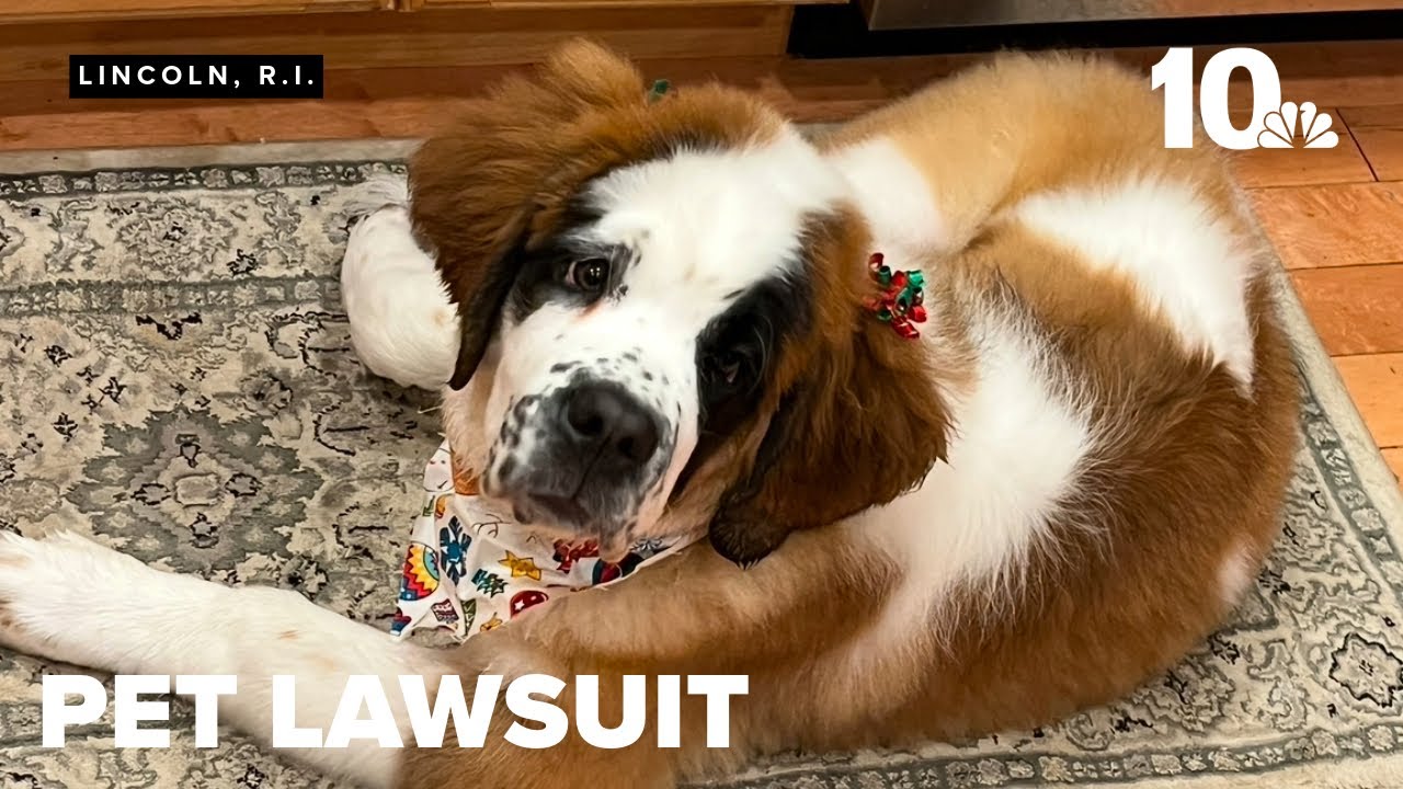 Lincoln family sues veterinarian accused of leaving surgical tool in dog