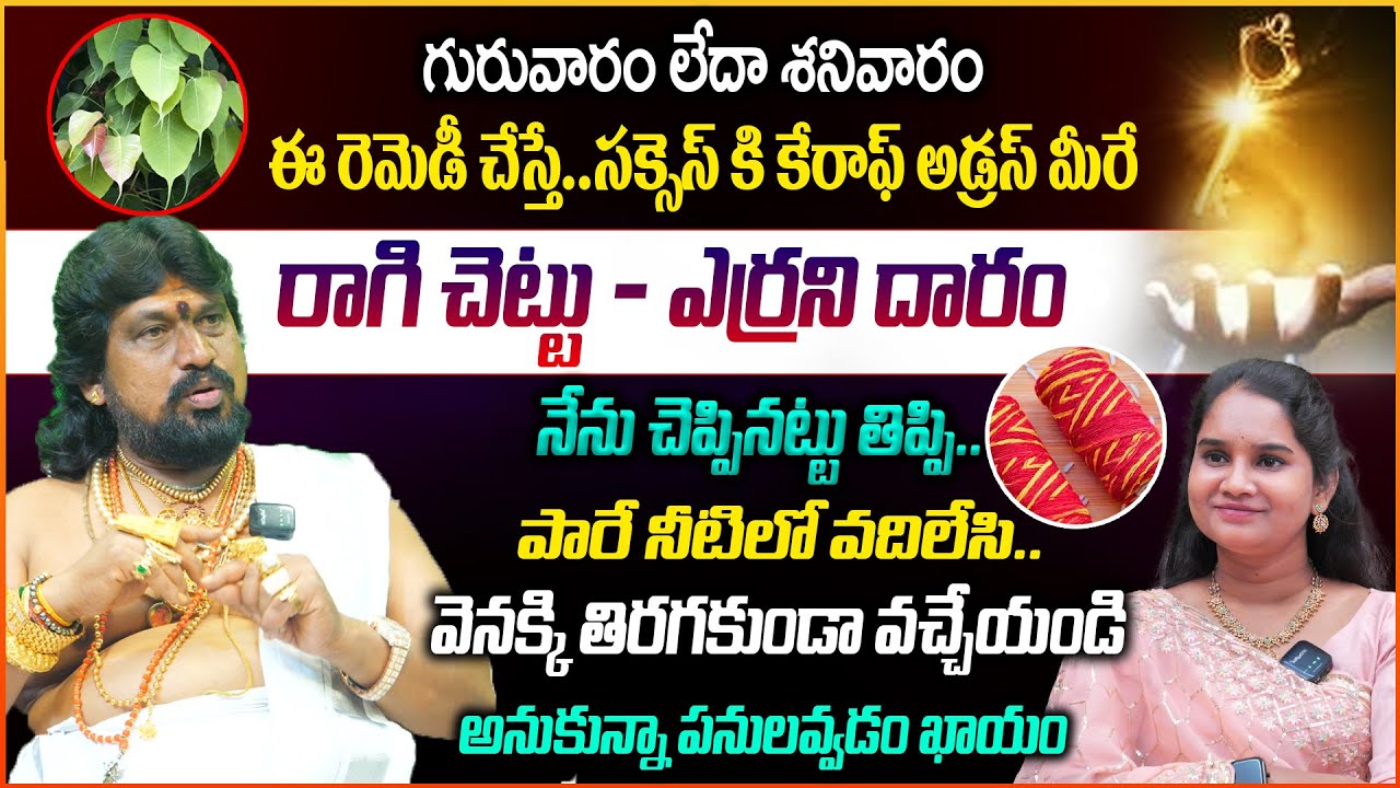ఈ రెమెడీ చేస్తే..సక్సెస్ కి కేరాఫ్ అడ్రస్ మీరే | Raagi Chettu Remedy | SSS Kerala Remedies