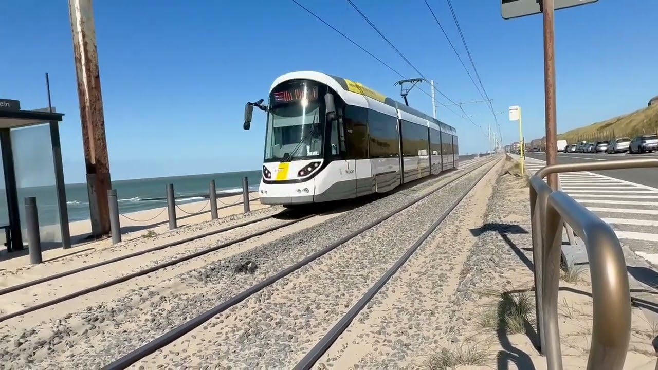Kusttrams hermelijn en zeelijner 