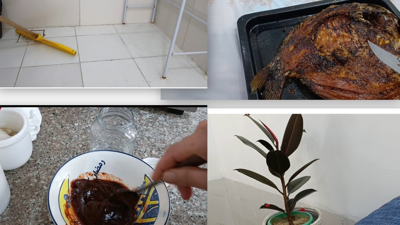 فطور سمك 🐟شوي بصلصة المطاعم رز ملون+تنضيف🧹 وترتيب🛋️