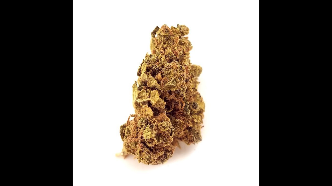 Sour Tangie Review TGS