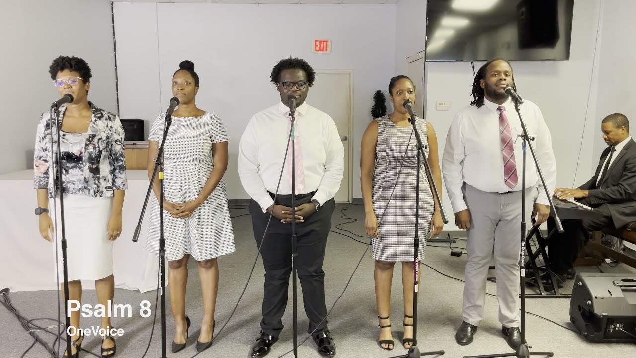 OneVoice - Psalm 8