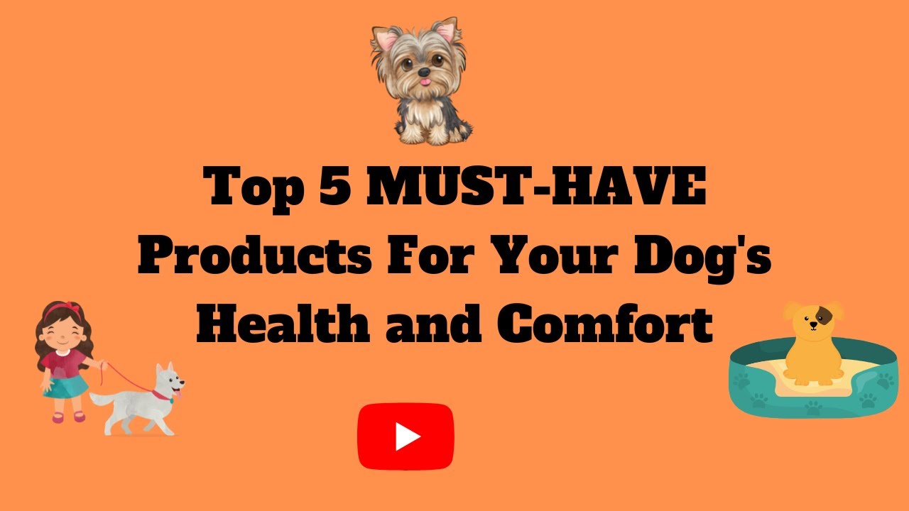 Top 5 MUST-HAVE Products For Your Dog's Health and Comfort