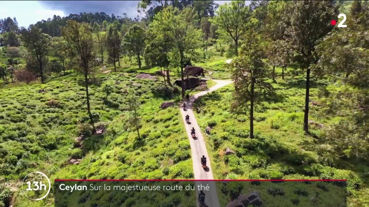 Ceylan : Sur la majestueuse route du thé