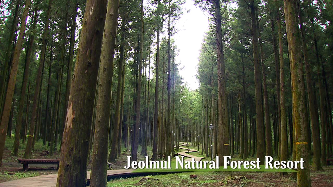 Welcome to the UNESCO World Natural Heritage Jeju!