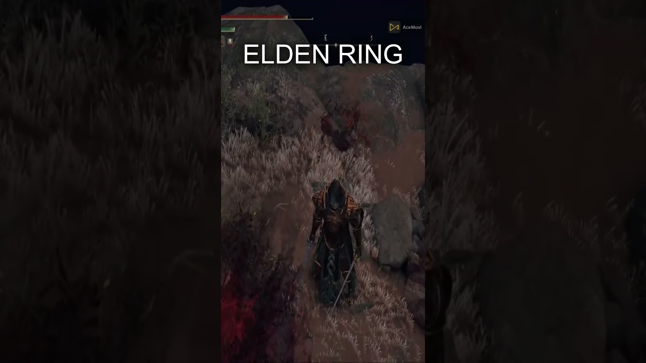 ELDEN RING warrior build