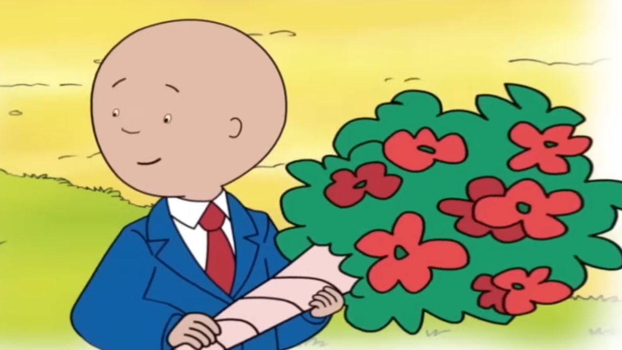 Bruiloft | Caillou Nederlands - WildBrain