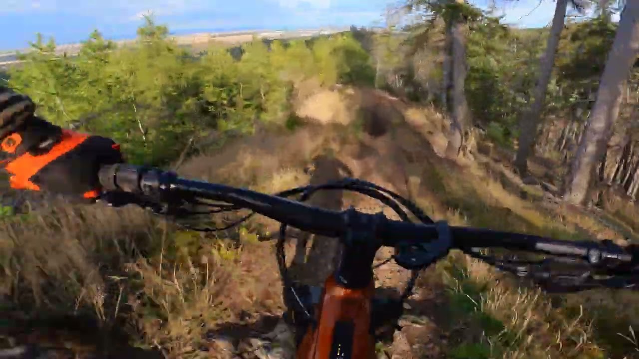 Trailpark Harz - Kammweg