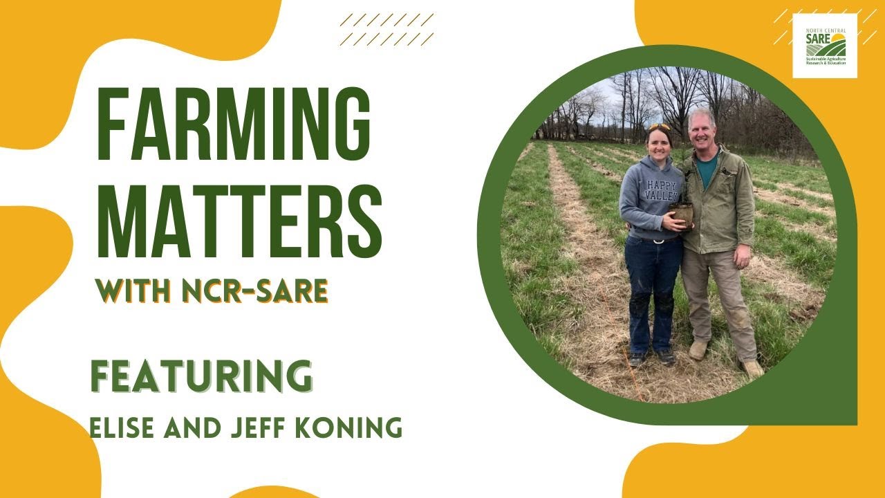 Christmas Tree Weed Control Using Shropshire Sheep with Elise and Jeff Koning