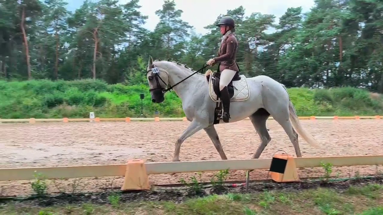 Fairly Famous, 13.07.24, Dannenberg A-Dressur 3. Platz