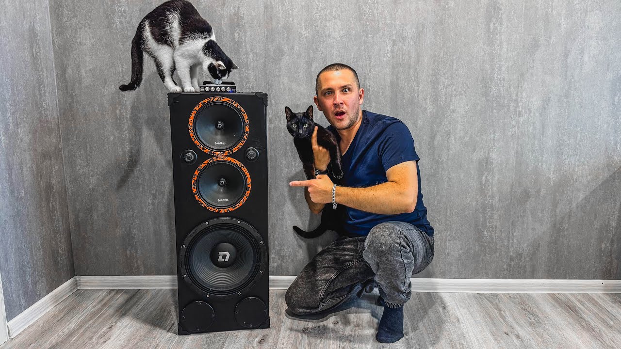 УБИЙЦА JBL! DL AUDIO Phoenix Sport 300!