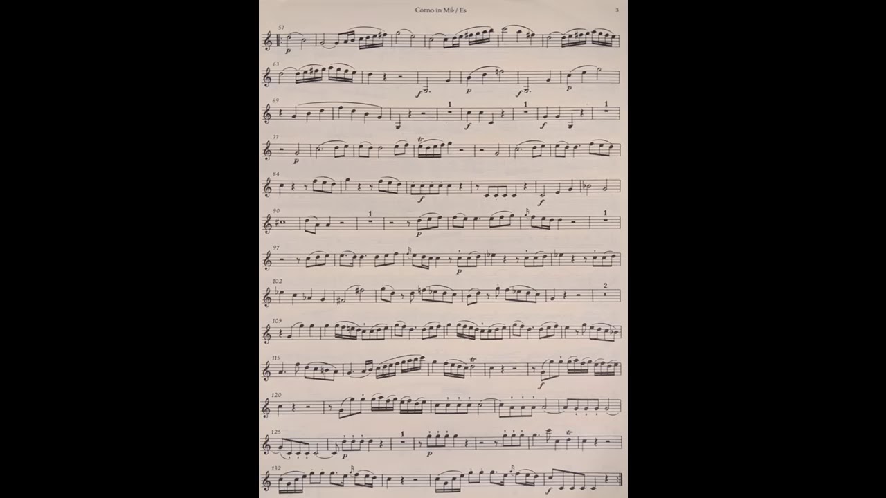 Mozart Horn Quintet A=442 - string accompaniment