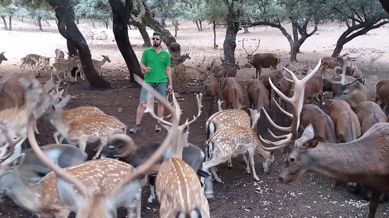 Parque cinegético en Sierra de Cazorla