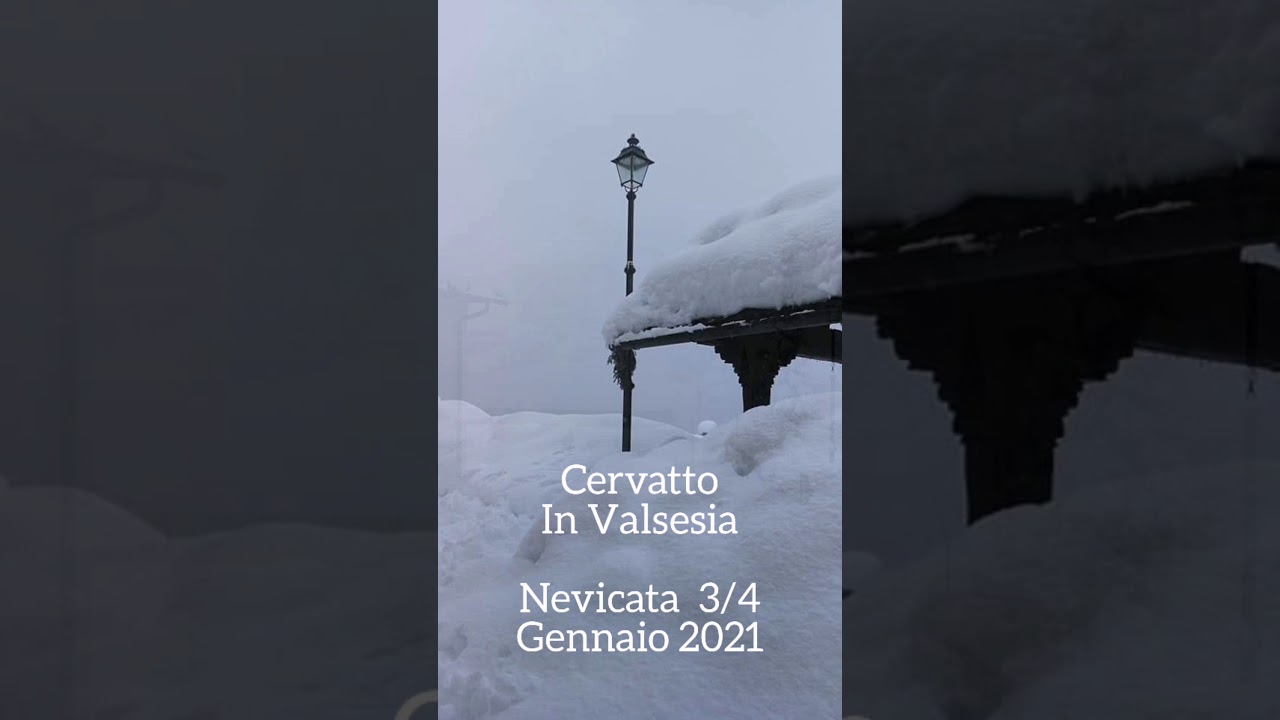 Cervatto nevicata Gennaio 2021