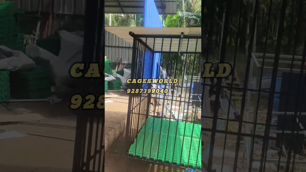 4*4 hitech dog cage with extra strength