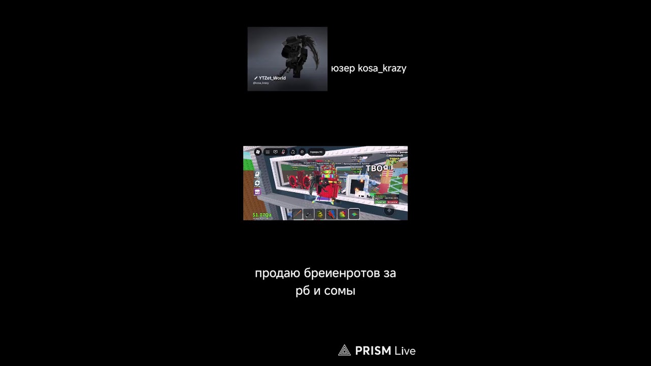 продаю бреинротов за рб сомы