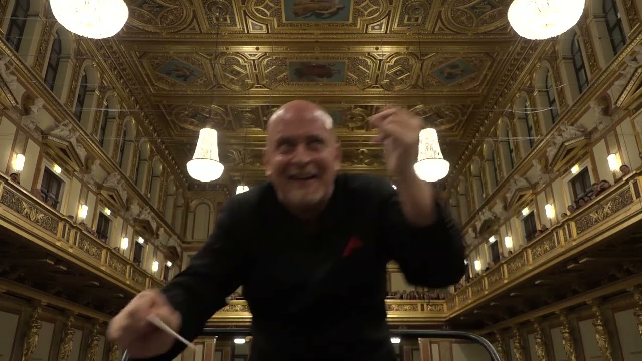 JOHANN STRAUSS - DIE FLEDERMAUS - Vienna 2017