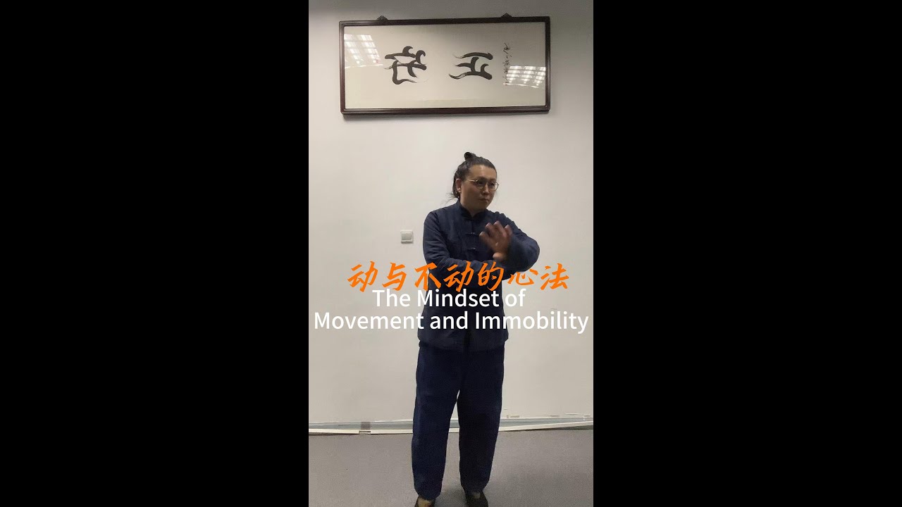 动与不动的心法 #kungfu #martialarts #wushu #chineseculture #内劲 #太極拳 #武術
