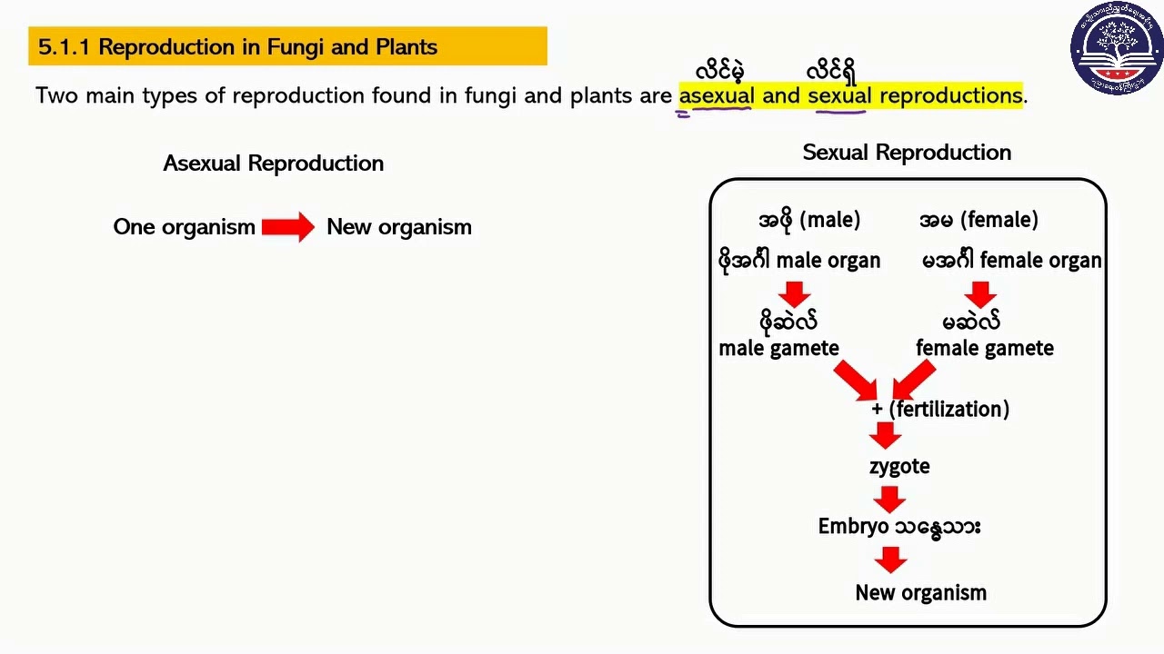 Grade 10 Biology, Chapter 5, Part1