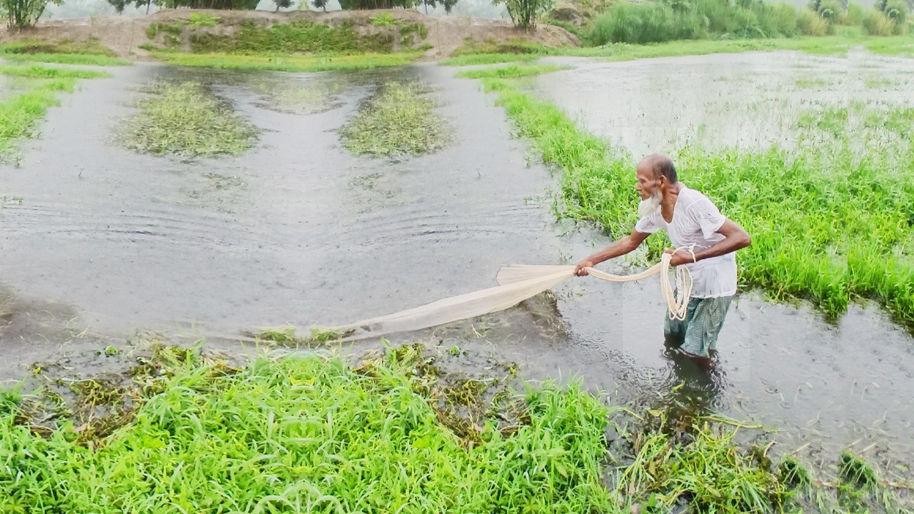 Nature Cast Net Fishing Video - 80 Years Old Fisherman Rainy Day Net Fishing - Net Fishing Video