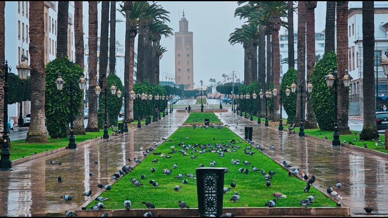 RABAT Pluie شوف جمالية منظر شوارع العاصمة وهي ترقص على نغمات أمطار الخير Avenues R'baties sous Pluie