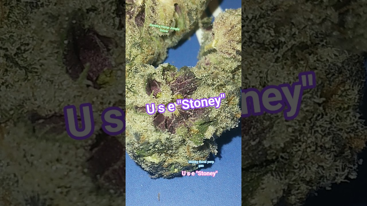 Revelry Hemp JUNGLE DRIVER thca hemp