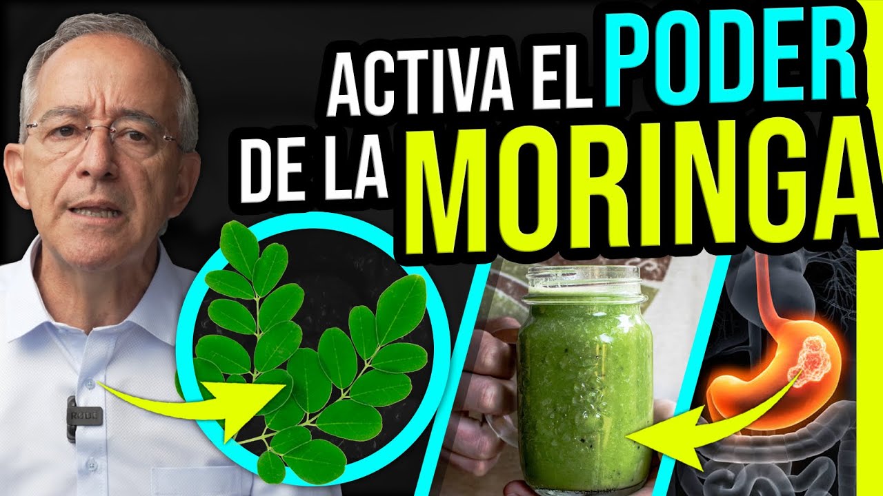 🌱 ASI SE PREPARA Y Consume La MORINGA - Oswaldo Restrepo RSC