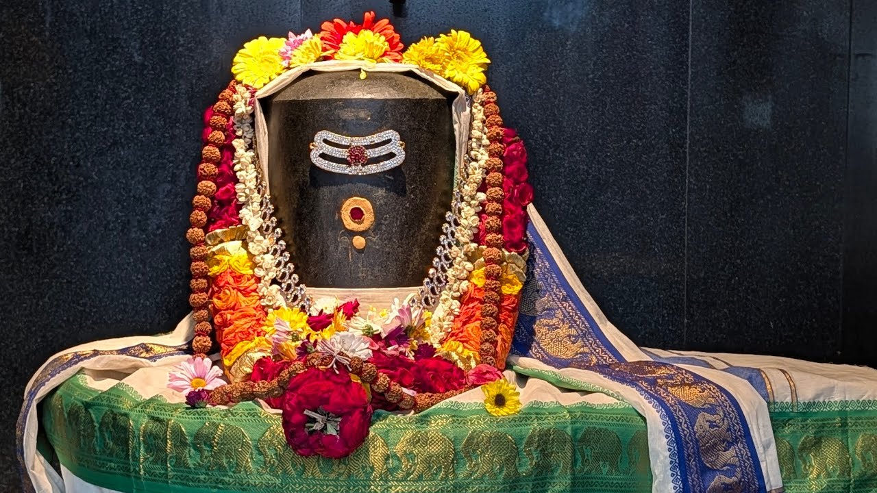 Maha Shivarathiri Celebrations 2026 #omnamahshivaya #shiva 