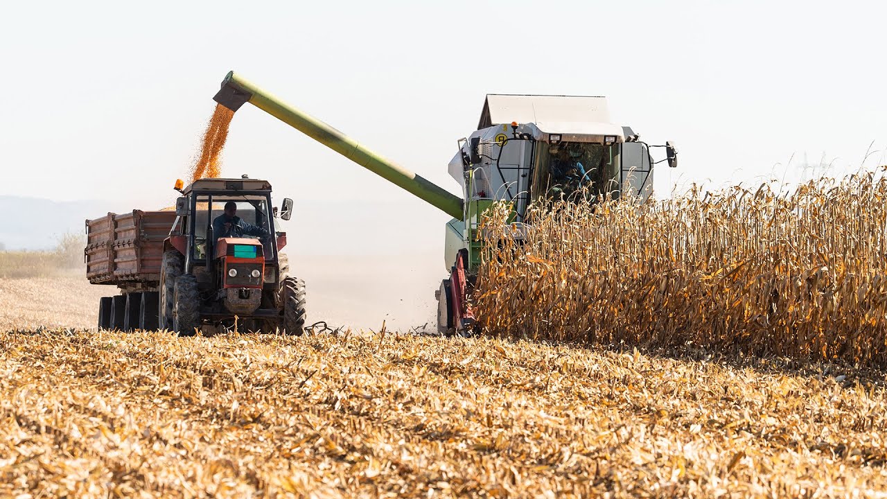 How American Farmers Harvesting and Processing Millions of Tons of Corn | Corn Empire Documentary